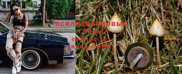 спиды Алзамай